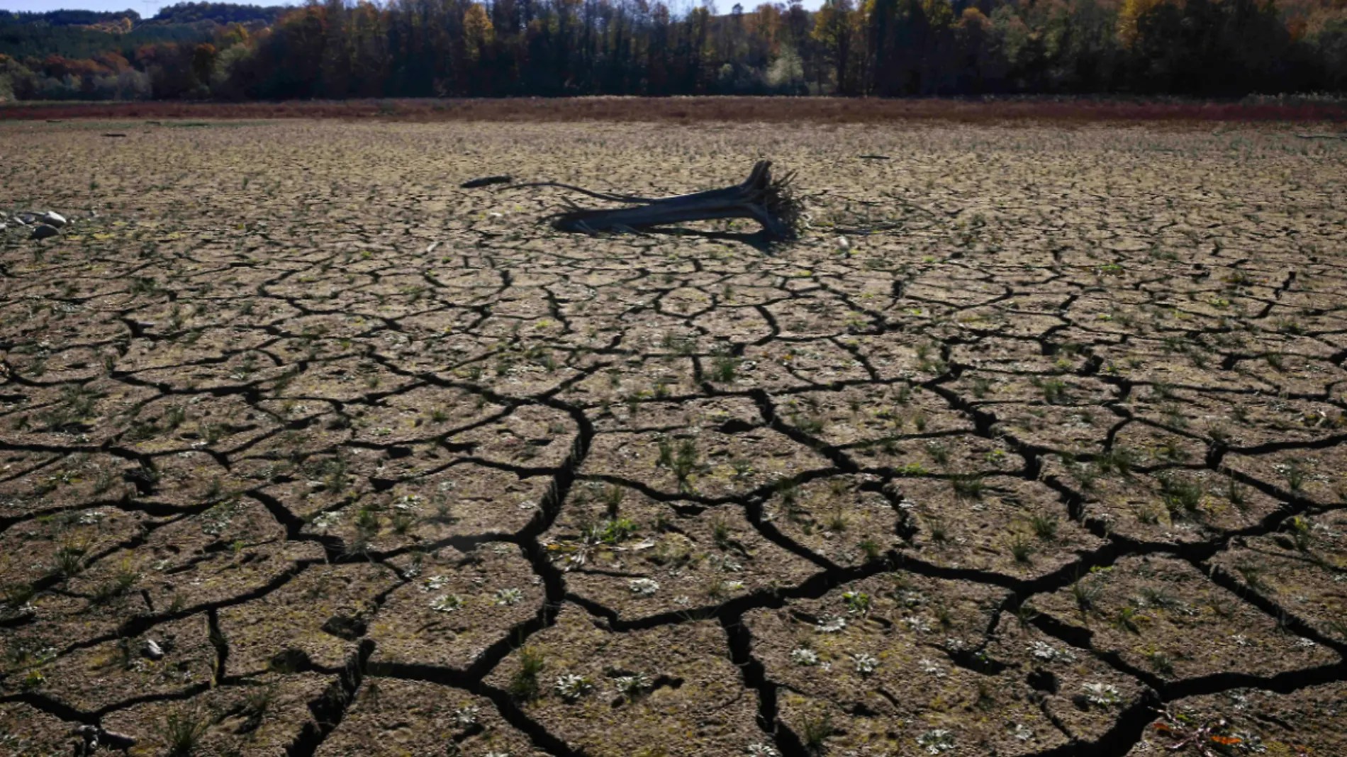 Cambio climático